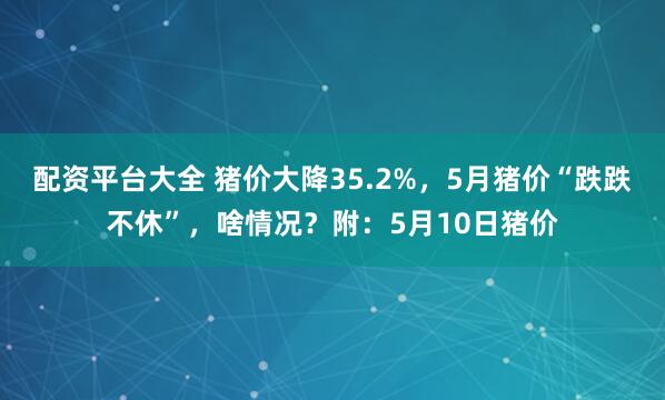 配资平台大全 猪价大降35.2%，5月猪价“跌跌不休”，啥情况？附：5月10日猪价
