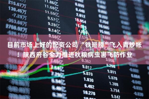目前市场上好的配资公司 “铁翅膀”飞入青纱帐！陕西府谷全力推进秋粮病虫害飞防作业